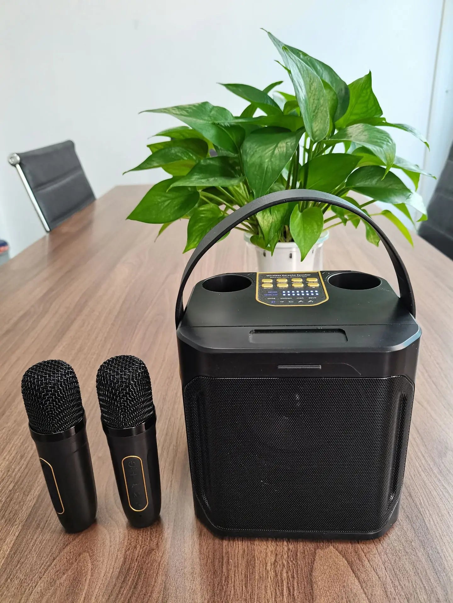 High Power Karaoke Bluetooth Speaker Portable.